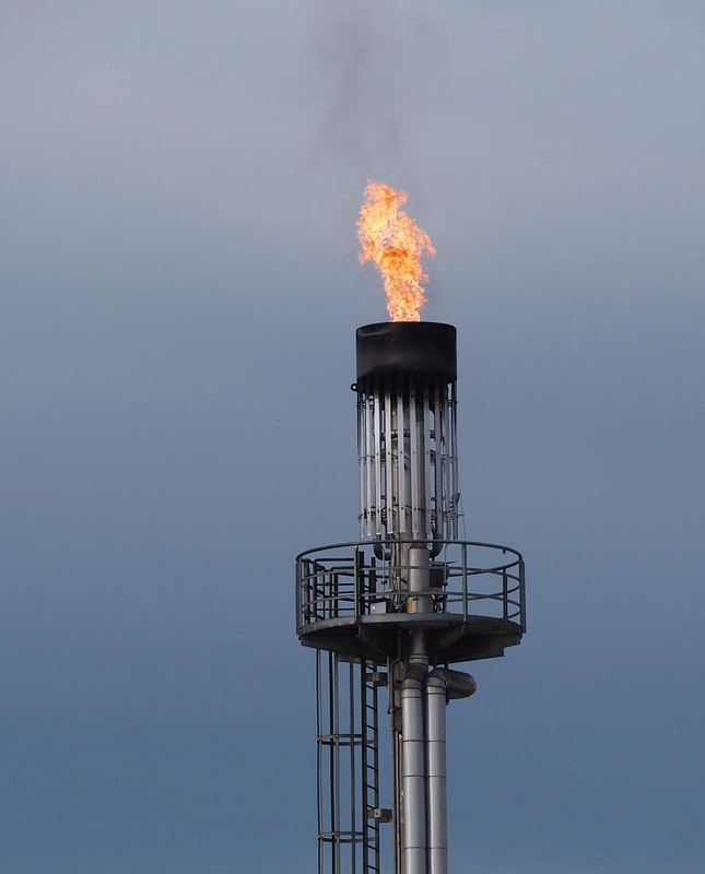 Разработка модели управления подрядчиками