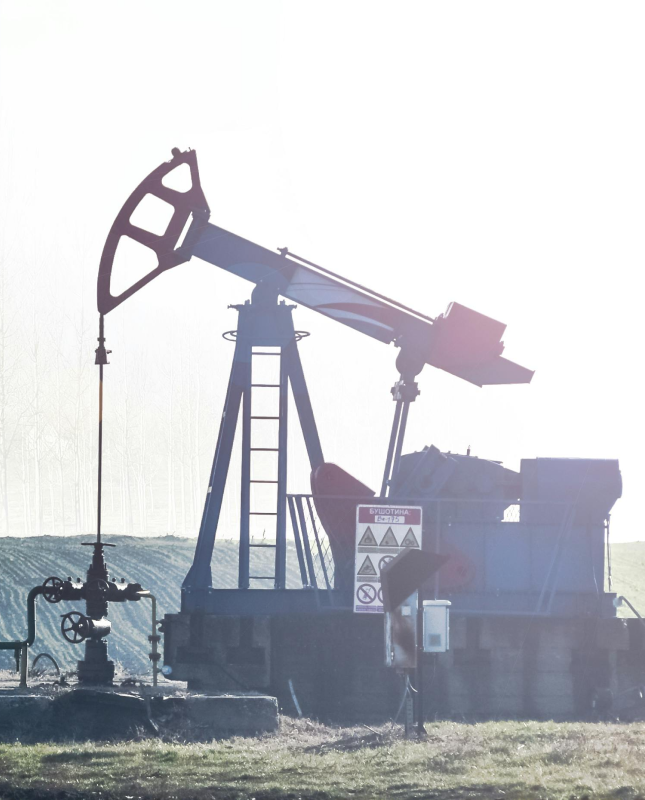 Разработка системы управления эффективностью инновационной деятельности