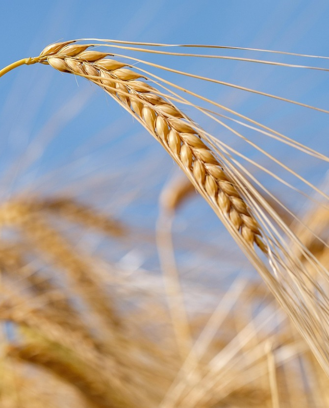 Разработка стратегии