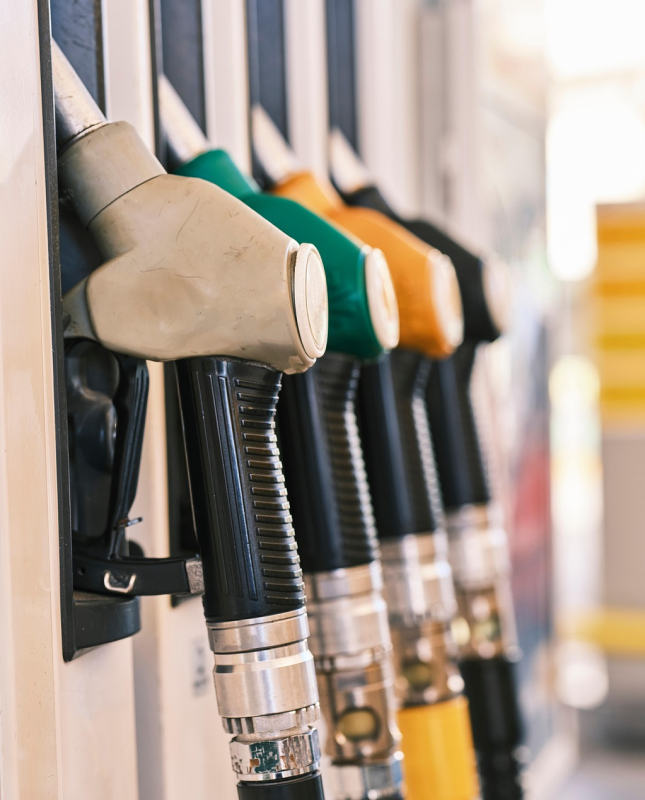 Развитие систем управления экономикой и цепочкой поставок